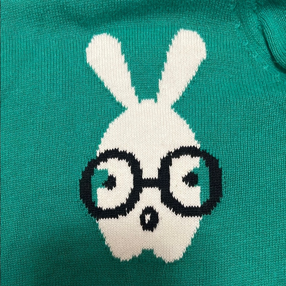 Teal Cardigan with Rabbit Design - Picture 3 of 7